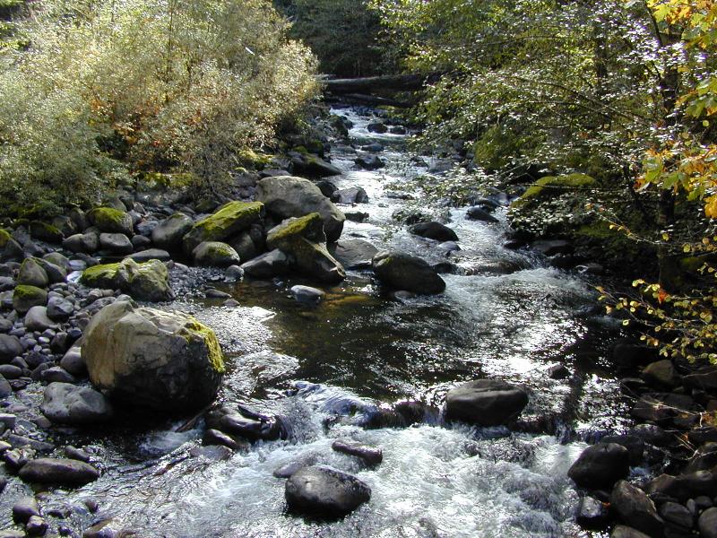 More water...