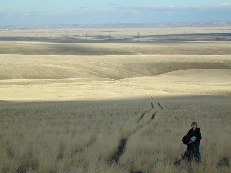 The Ridge hike photo 2