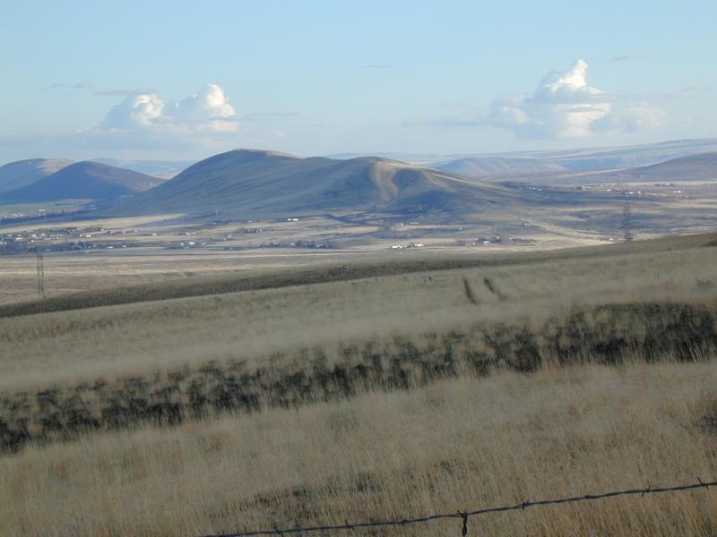 The Ridge hike photo 3