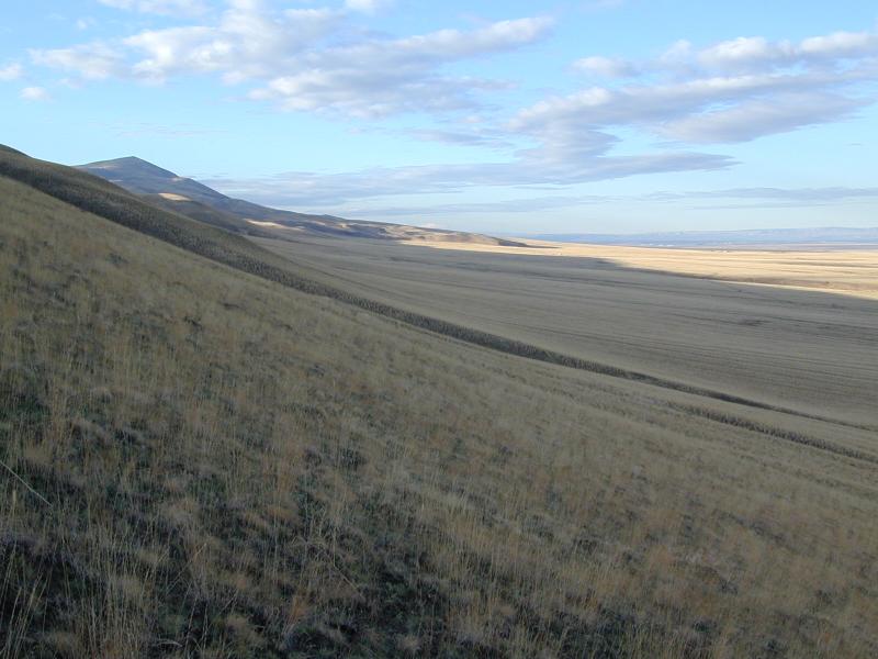 The Ridge hike photo 8