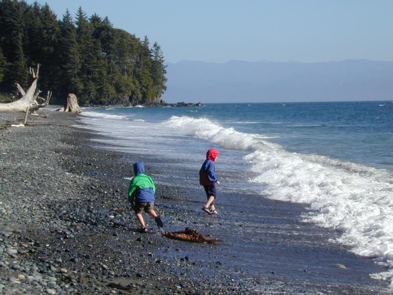 Vancouver Island photo 6