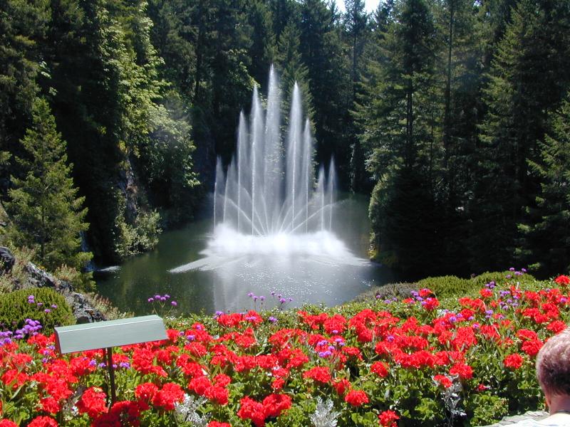 Vancouver Island photo 10