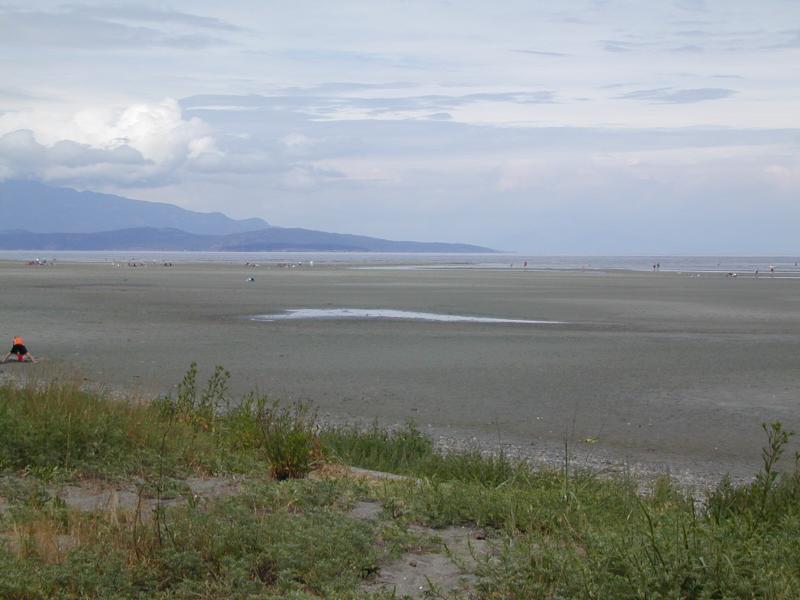 Vancouver Island photo 20